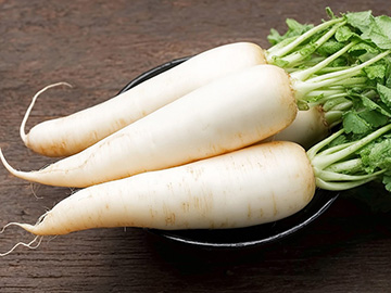 fz-jegcsapretek-w360