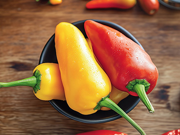 fz-lecsopaprika-w360