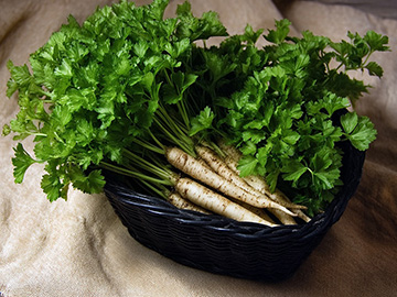 fz-petrezselyemgyoker-w360