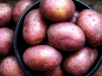 fz-pirosburgonya-w360